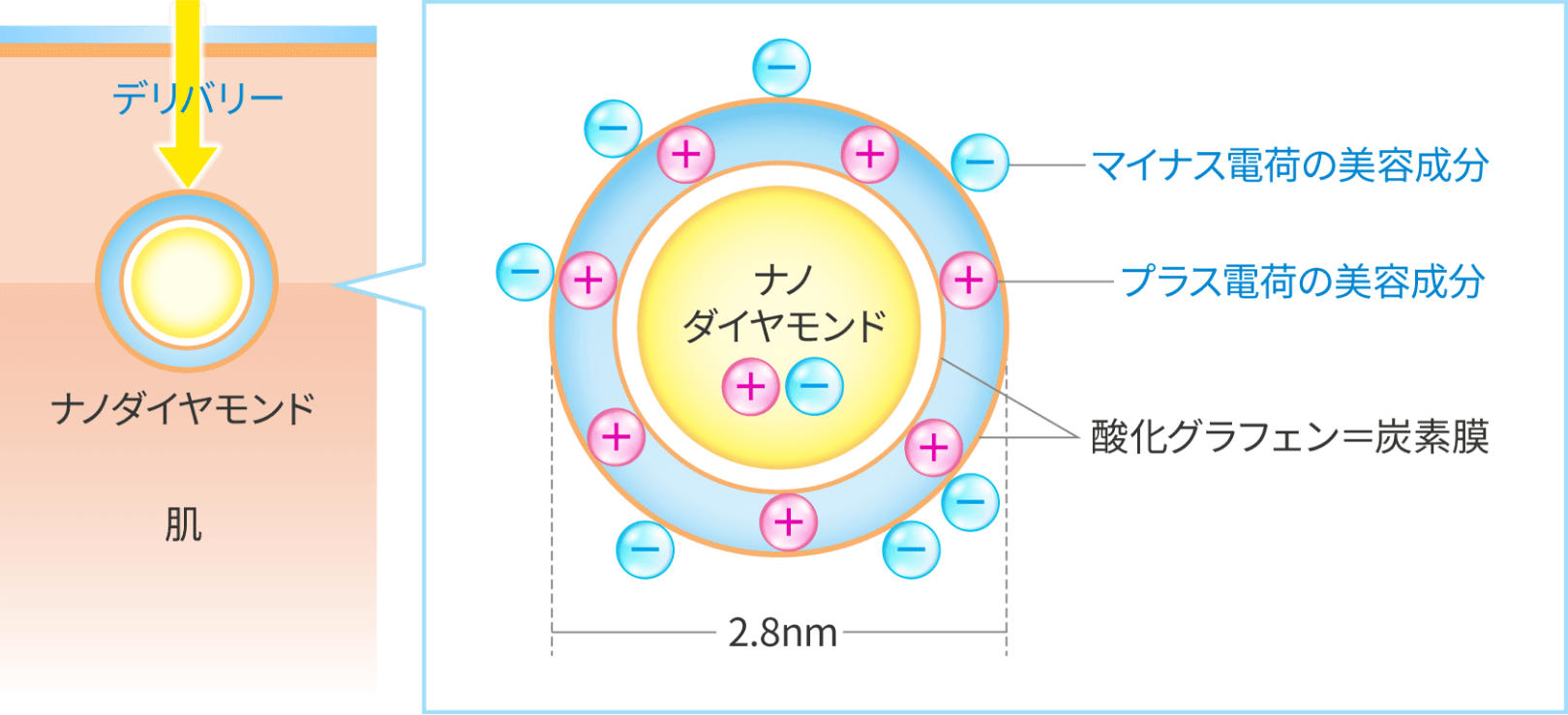 浸透力に驚愕