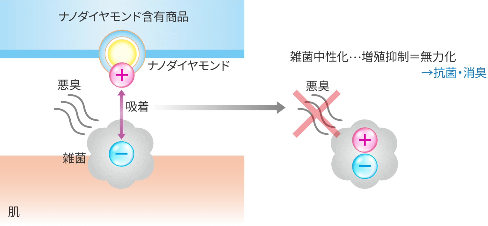 新方式の抗菌消臭