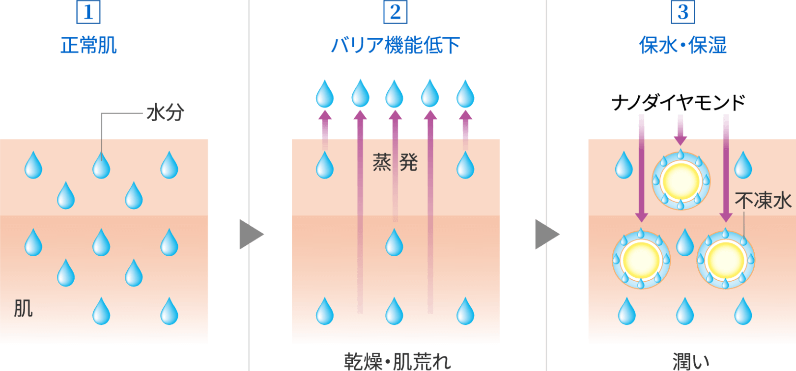 実感する潤い